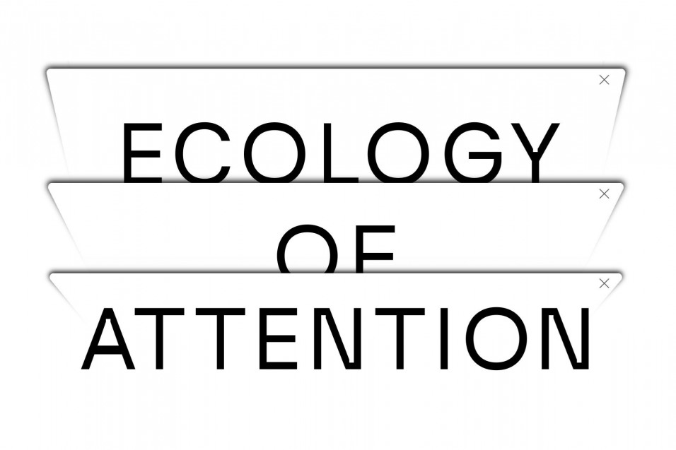 Y: The Ecology of Attention